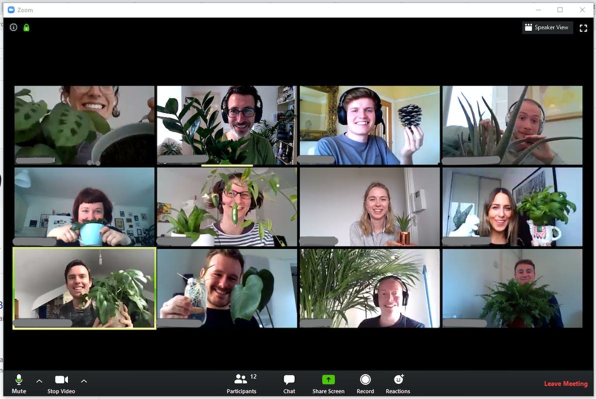a zoom video meeting with 12 people all holding plants
