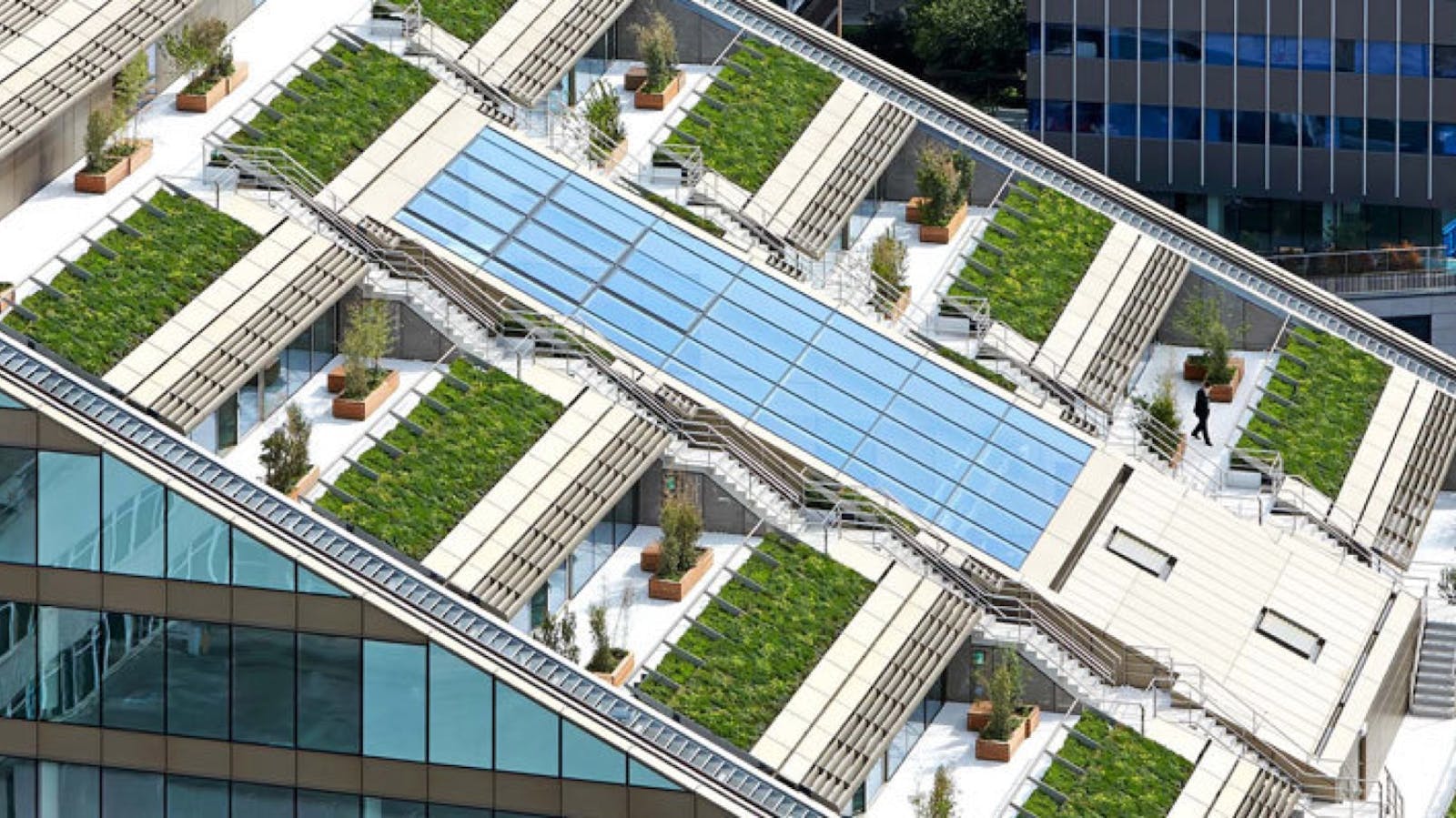 Building with Green Roof-top