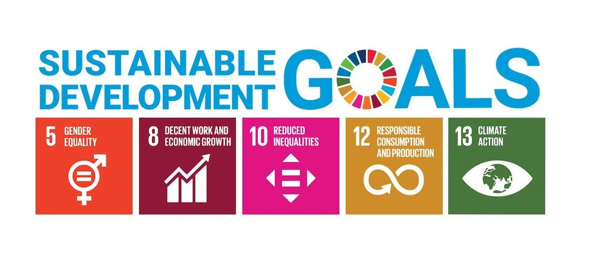 Alfa's five chosen united nations sustainable development goals