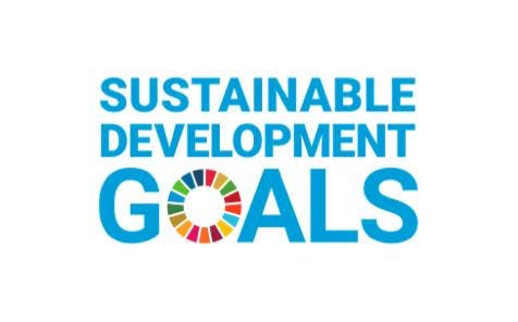 UN SDG logo