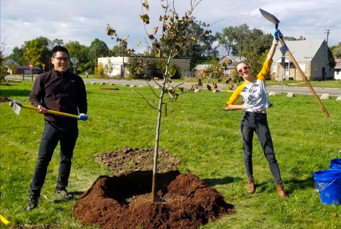 Two Alfa employees planting a tree