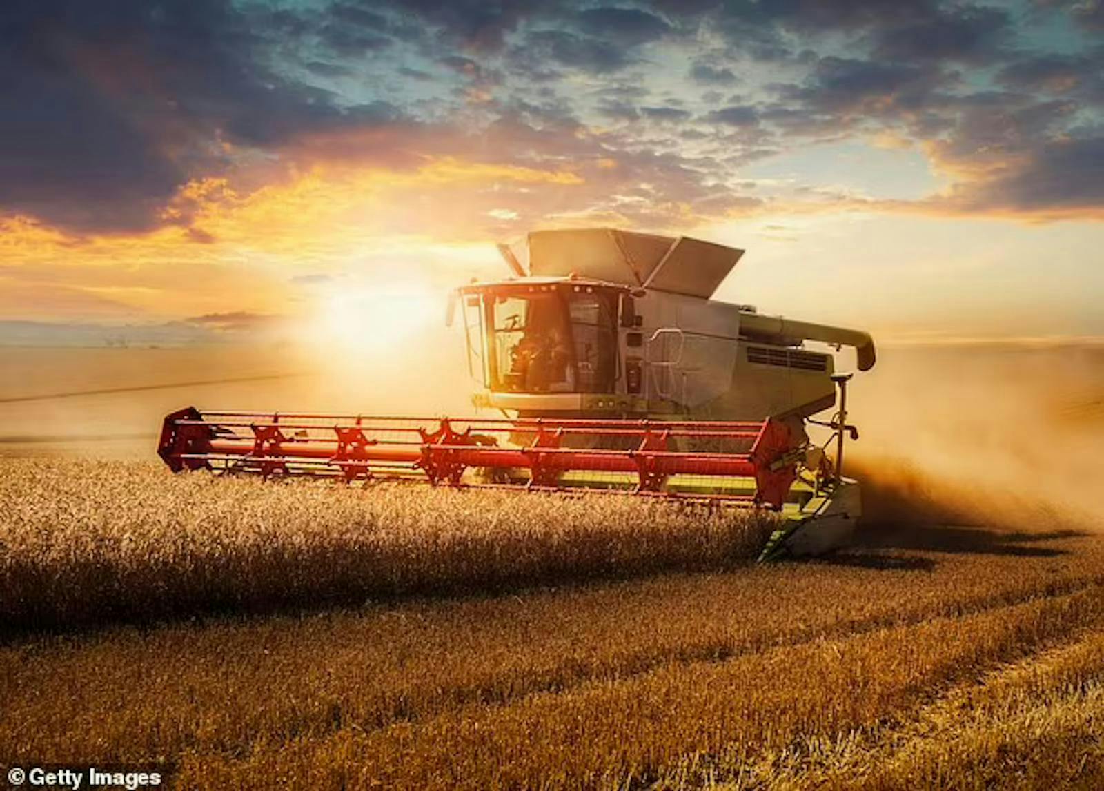 A combine harvester in a sunlit field