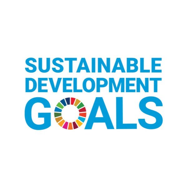 UN SDGs logo promo